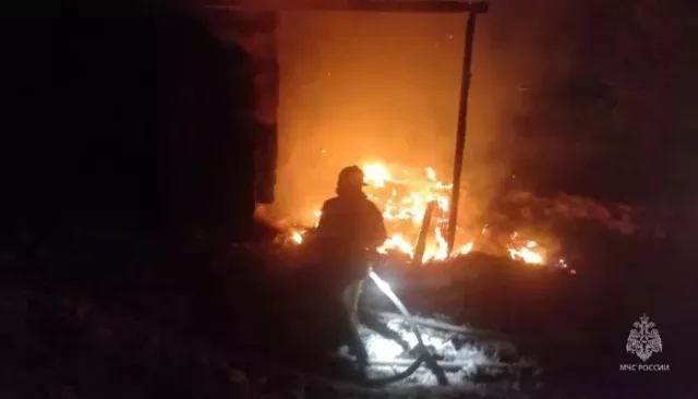 Тело мужчины нашли на месте пожара в алтайском селе Залесово - Толк, 09.03.2026