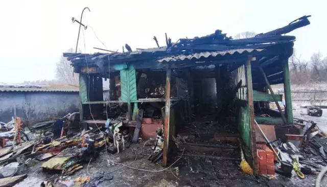 В Алтайском крае мать четырех детей получила срок за гибель маленьких сына и внучки - Толк, 11.03.2026