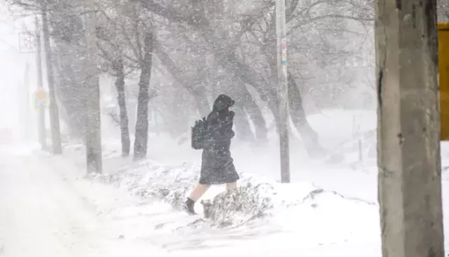 Штормит: Алтайский край остается во власти мощного ветра и метелей - Толк, 12.03.2026