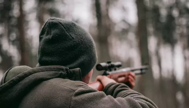 Охотники смогут подать заявления на отстрел медведей в Алтайском крае с 17 марта - Толк, 13.03.2026