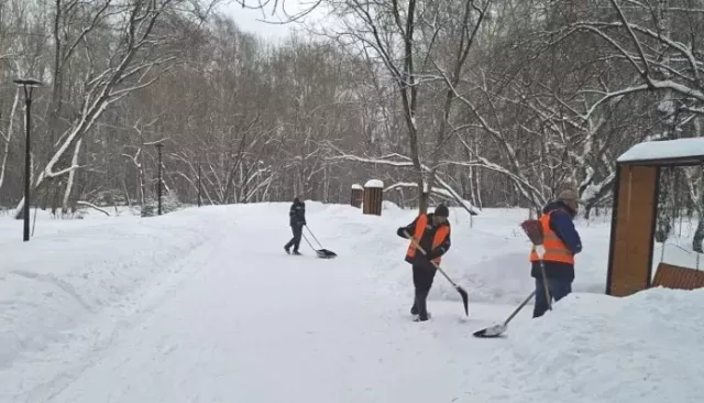 Дорожные и коммунальные службы в усиленном режиме откапывают Барнаул из-под снега - Толк, 14.03.2026