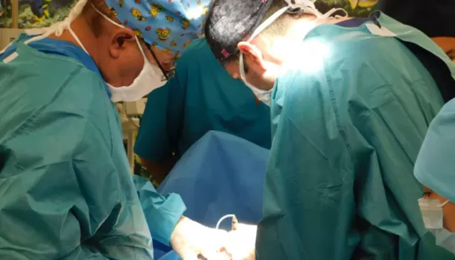 У жительницы Алтайского края в кишечнике выросла опухоль размером с баскетбольный мяч - Толк, 17.03.2026