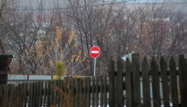 Теперь 35. В Алтайском крае нашли еще пять очагов бешенства, один из них – в Барнауле - Толк, 20.03.2026