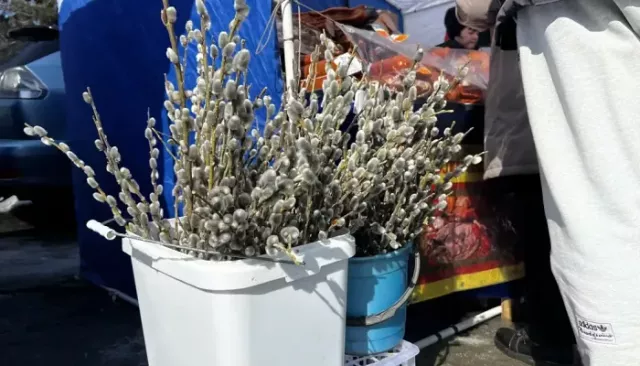 Барнаульцы закупились на 4 млн рублей на традиционных продуктовых ярмарках - Толк, 29.03.2026