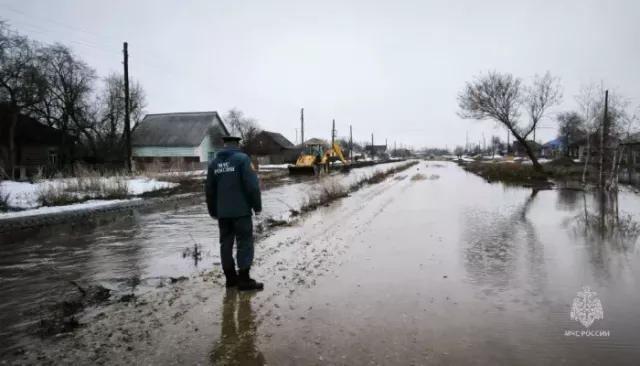 Талой водой в Алтайском крае начало топить дворы и залило мост - Толк, 29.03.2026