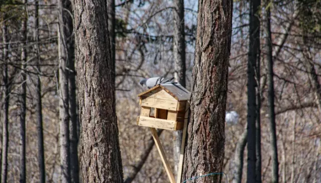 В Алтайском крае повышается градус: прогноз погоды на 3 апреля - Толк, 03.04.2026