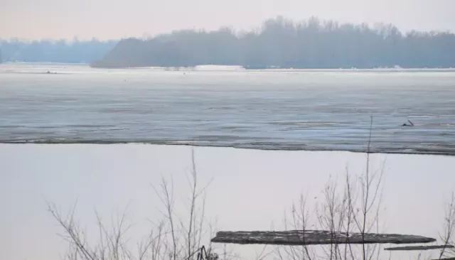 Ледяное дыхание Оби: как выглядит главная река Алтайского края накануне ледохода - Толк, 06.04.2026