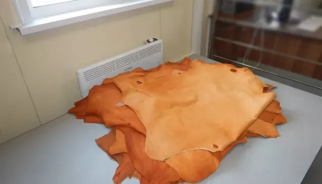 Иностранец попытался незаконно провезти в Республику Алтай 30 овечьих шкур - Толк, 06.04.2026