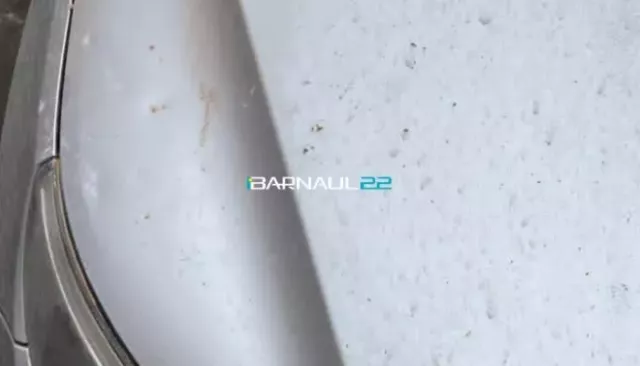 Куски фасада рухнули на автомобиль в Барнауле. Фото - Толк, 12.04.2026