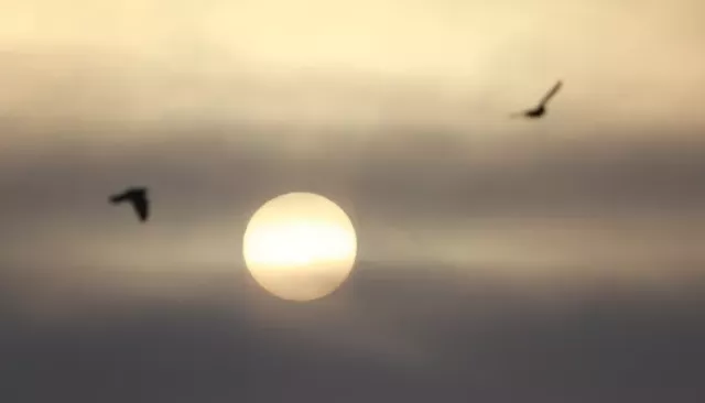 Апрельские магнитные бури: в какие дни их следует ждать до конца месяца. Прогноз Апрельские магнитные бури: в какие дни их следует ждать до конца месяца. Прогноз - Толк, 13.04.2026