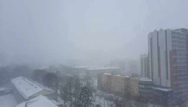 Внезапный снегопад накрыл Новосибирск 17 апреля. Фото - Толк, 17.04.2026