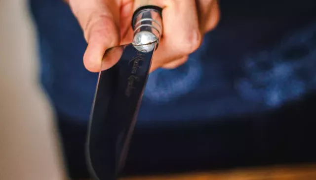 В Республике Алтай женщина вонзила нож в спину своему знакомому во время застолья - Толк, 17.04.2026