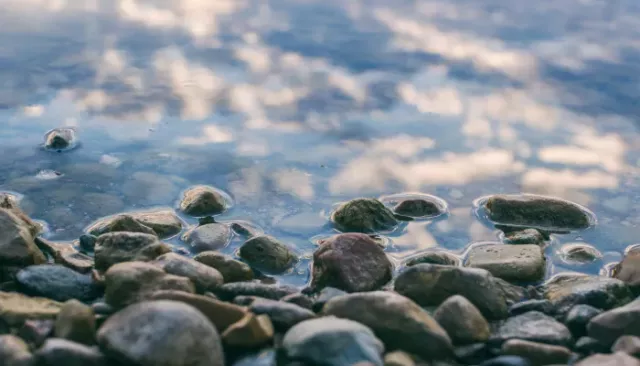 В Кузбассе тело утонувшего вместе с братом мальчика нашли спустя четыре месяца - Толк, 20.04.2026