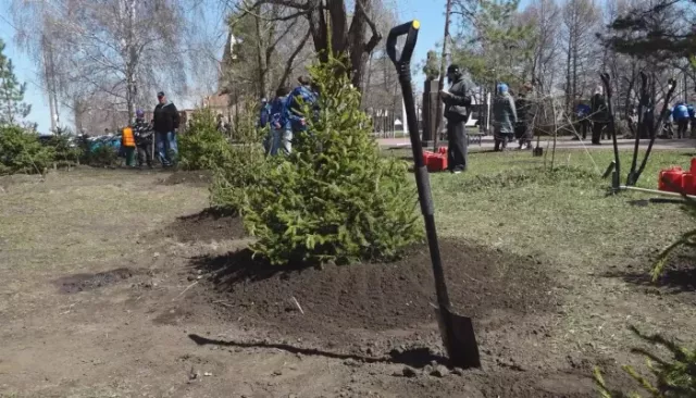 Десятки тысяч барнаульцев вышли на общегородской субботник - Толк, 24.04.2026