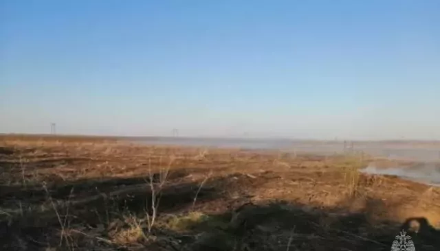 Возле села в Алтайском крае горела сухая трава на полутора тысячах "квадратов" - Толк, 29.04.2026