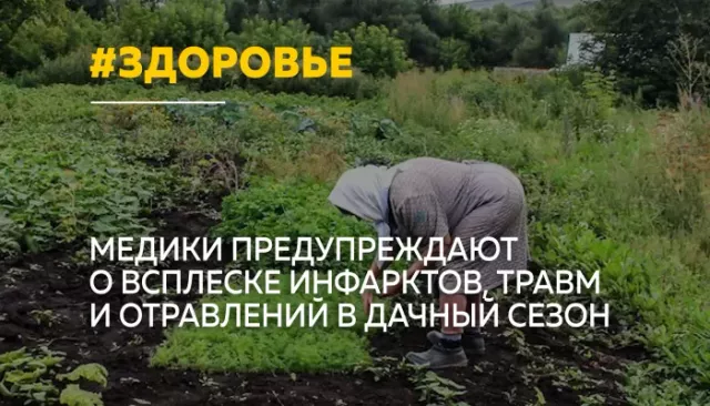 "Огородные герои" рискуют здоровьем: врачи предупредили дачников - Толк, 29.04.2026