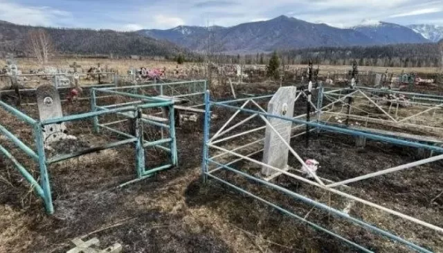 Жители села Катанда в Горном Алтае возмущены из-за пожара на кладбище - Толк, 30.04.2026