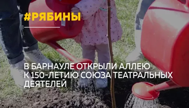 В центре Барнаула высадили аллею театральных деятелей - Толк, 30.04.2026