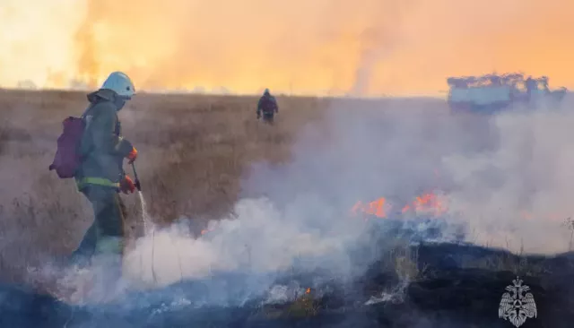 Высокая пожароопасность сохранится в Алтайском крае до 8 мая - Толк, 02.05.2026
