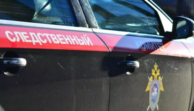 Двое мужчин жестоко убили 15-летнего подростка в Алтайском крае - Толк, 14.05.2026