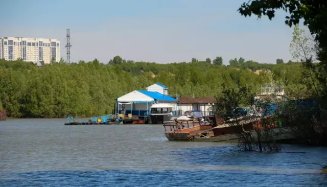 Заморозки ударят по Алтайскому краю перед 30-градусным потеплением - Толк, 24.05.2026