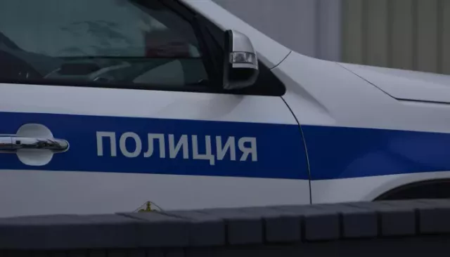 Пьяную дебоширку из Чемала обвинили в нападении на полицейского - Толк, 24.05.2026
