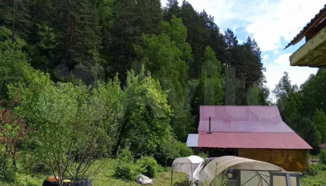 Дом на фоне живописных гор продают в Республике Алтай за 100 млн рублей. Фото - Толк, 31.05.2026