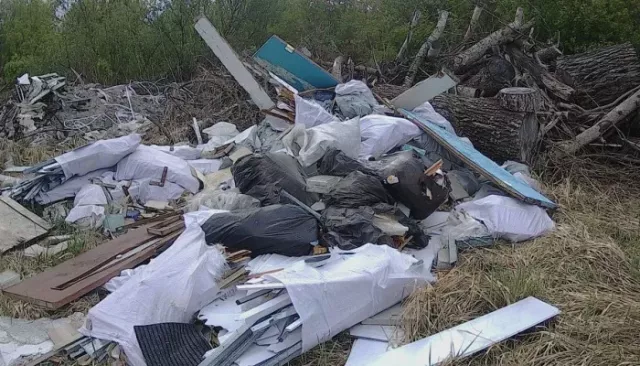 Незаконную свалку на 400 "квадратов" нашли возле Фирсово в Алтайском крае - Толк, 07.06.2026