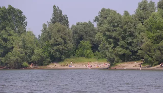 На Алтайский край надвигаются дожди с грозами, но жара никуда не уйдет - Толк, 25.06.2026