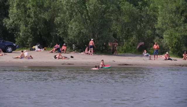 Жара в Алтайском крае разгонится до +39 градусов: прогноз - Толк, 26.06.2026