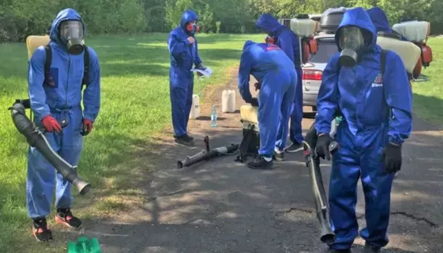 Более 6,5 тысячи случаев присасывания клещей зафиксировали в Алтайском крае - Толк, 04.07.2026