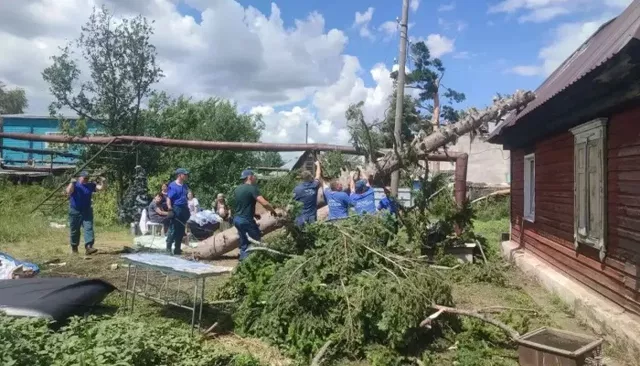 Более 150 зданий повреждено в Краснощековском районе после урагана. Фото Более 150 зданий повреждено в Краснощековском районе после урагана. Фото - Толк, 23.07.2026