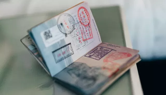 СМИ: Лерчек собиралась уехать за границу после курса химиотерапии - Толк, 27.07.2026