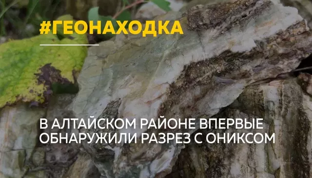 Ученые и школьники исследуют первый найденный в Алтайском крае разрез с ониксом Ученые и школьники исследуют первый найденный в Алтайском крае разрез с ониксом - Толк, 13.08.2026