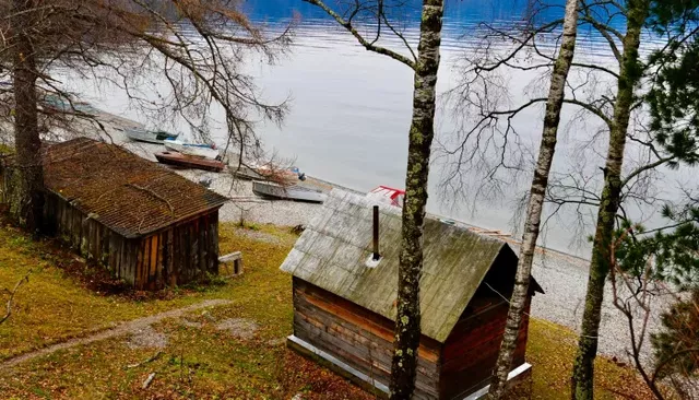 Заповедное село в Республике Алтай запретили посещать посторонним из-за медведей - Толк, 21.08.2026