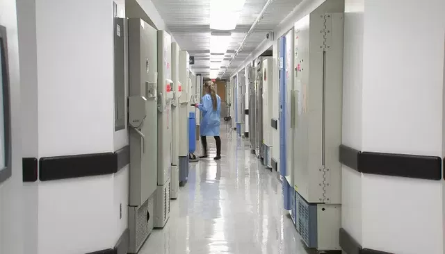 Онколог назвала симптом опухоли мозга, который списывают на кризис среднего возраста - Толк, 22.08.2026