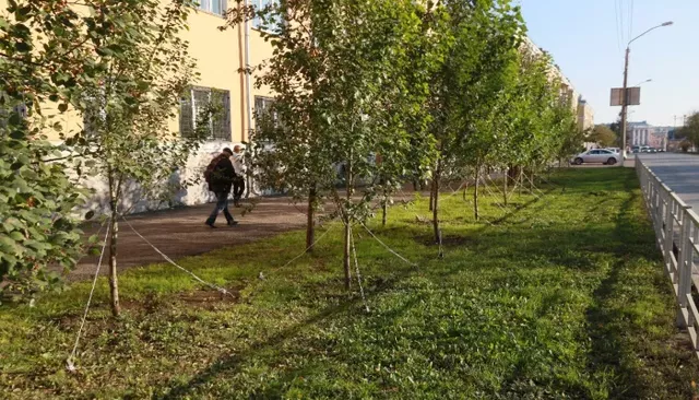 Подрядчик отказался поливать барнаульскую растительность и попал в "черный список" - Толк, 29.08.2026