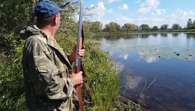 Сезон охоты на дичь открылся в Алтайском крае с 29 августа - Толк, 29.08.2026