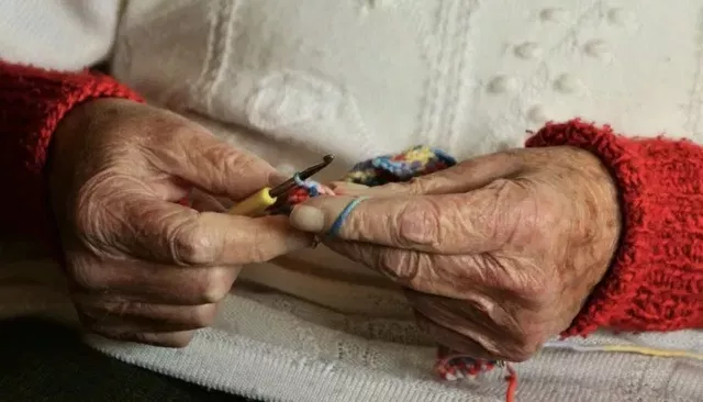 В Алтайском крае выросло число пожилых и инвалидов - Толк, 02.09.2026