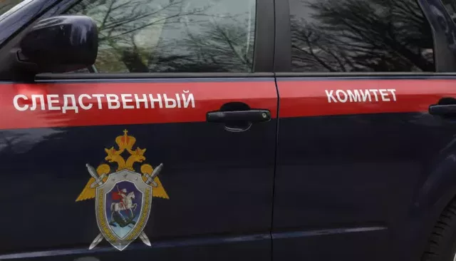 Двух растерзанных медведем грибников нашли мертвыми в лесу в Красноярском крае - Толк, 03.09.2026