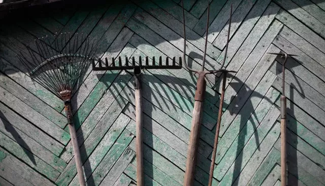 Горячая пора: что обязательно надо сделать на даче до конца сентября - Толк, 03.09.2026