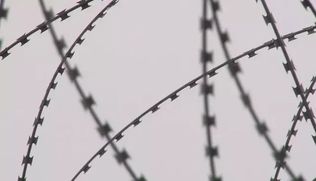 Каждый третий осужденный в Алтайском крае отбывает срок за распространение наркотиков - Толк, 17.09.2026