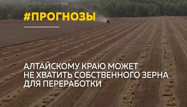Урожай почти вдвое ниже: аграрии Алтайского края подводят итоги сезона - Толк, 02.10.2026