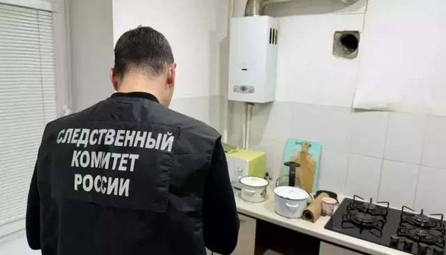 Мать и пятеро детей отравились угарным газом в Саратовской области - Толк, 03.10.2026