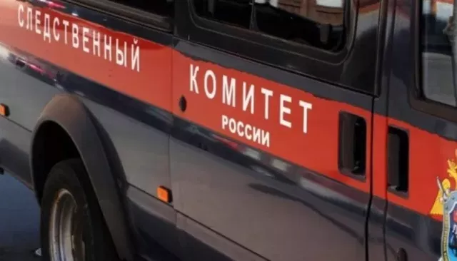 Женщина родила и задушила ребенка в аэропорту Шереметьево - Толк, 03.10.2026