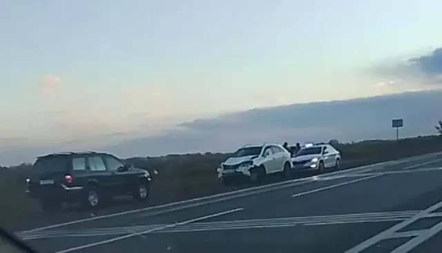 Автомобиль сбил лошадь на трассе под Бийском. Видео - Толк, 06.10.2026