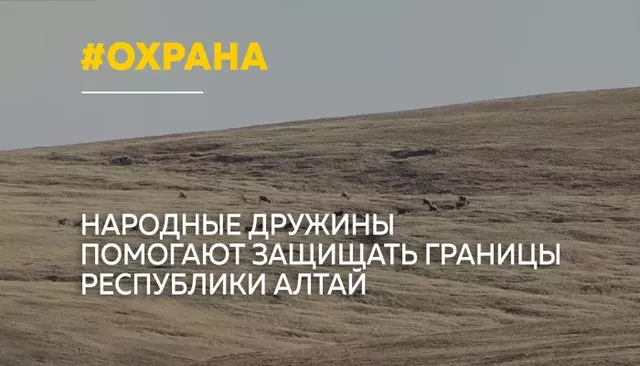 В Республике Алтай народные дружинники помогают пограничникам выявлять нарушителей - Толк, 13.10.2026