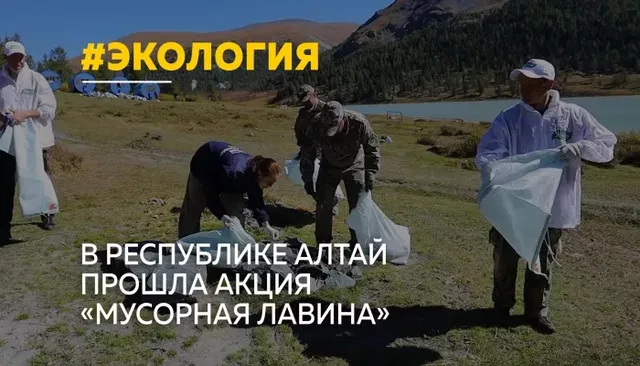 "Чистая гора – чистая совесть": волонтеры убрали тонны мусора у подножия Белухи - Толк, 29.10.2026