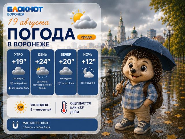 Погода 19 августа - Блокнот Воронеж (Новости СМИ), 19.08.2026