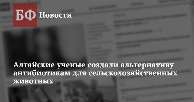 Алтайские ученые создали альтернативу антибиотикам для сельскохозяйственных животных - Новости Банкфакс, 20.11.2024